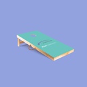 Cornhole 120 Custom Design